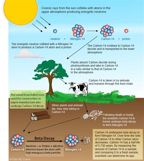 c-dating|Radiocarbon dating